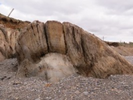 Relane Point Fold