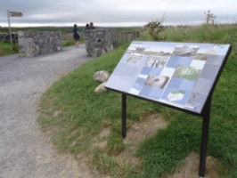 Geo-Panel, The Burren